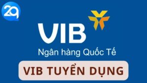 VIb tuyen dung