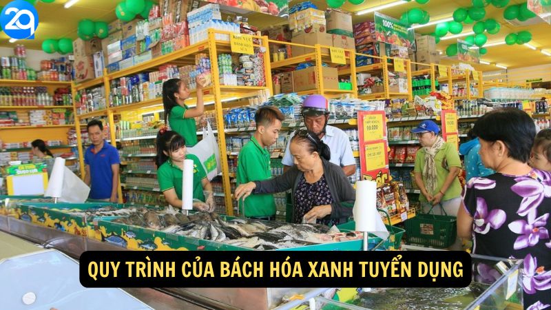 Quy trình của  Bách Hóa Xanh Tuyển Dụng