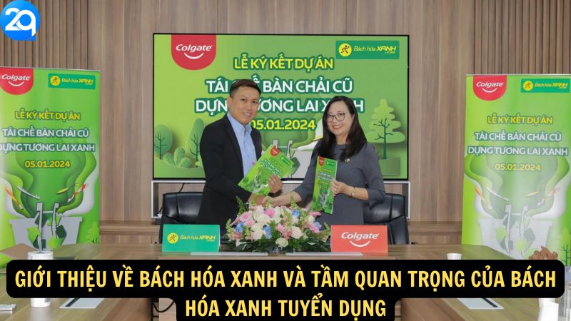 Giới thiệu về Bách Hóa Xanh và tầm quan trọng của Bách Hóa Xanh Tuyển Dụng
