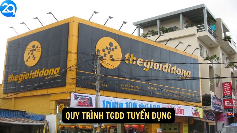 Quy trình TGDD Tuyển Dụng