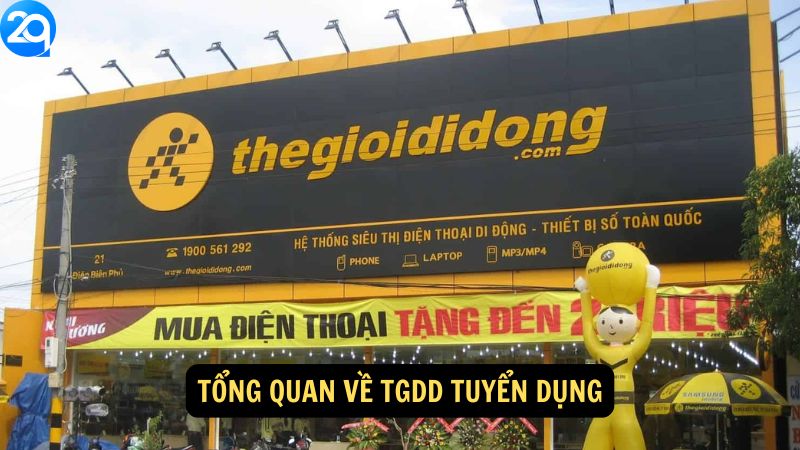 Tổng quan về tgdd tuyển dụng