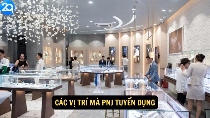 Các vị trí mà PNJ Tuyển Dụng