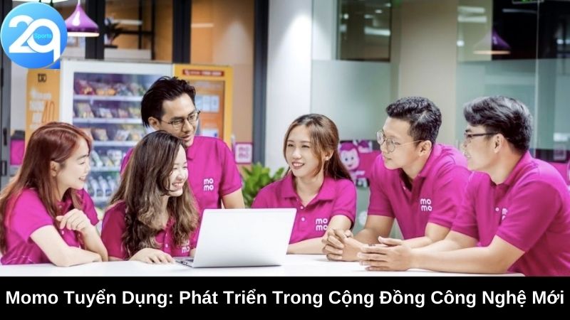 momo tuyen dung